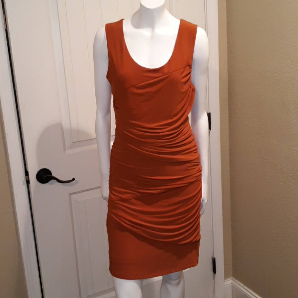 Elegant Rust Sleeveless Dress